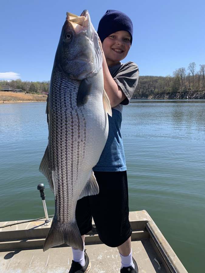 Same class of fish as the 2017 striper, near enough the same weight. It only looks smaller because Aaron had grown.