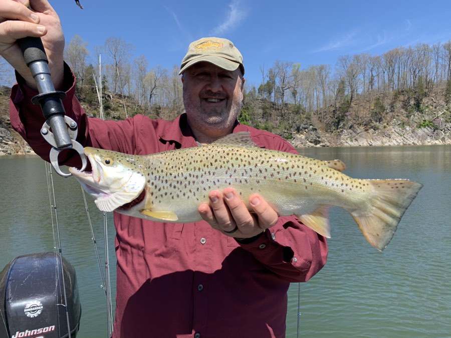 A brown trout in beautiful condition.