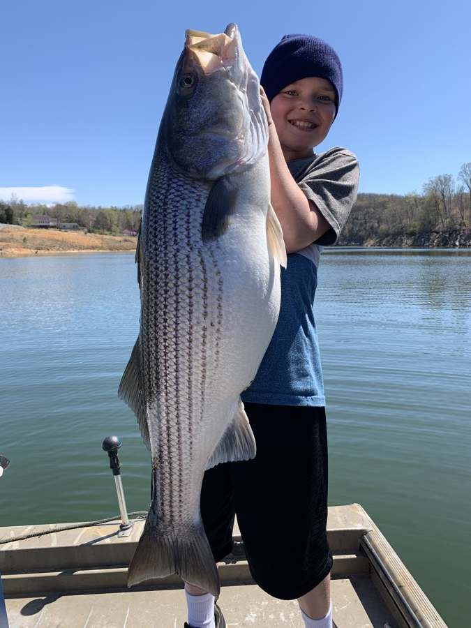 Stripers and brown trout on the same day — the cold tailwater coming in at the top of the lake.