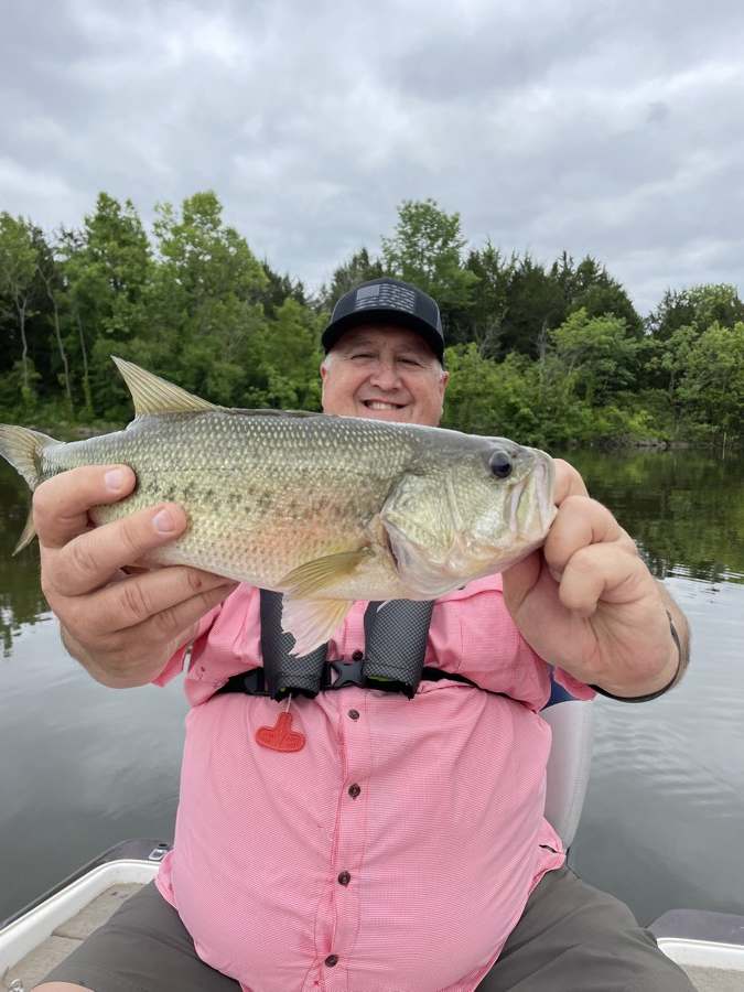 A solid largemouth on a calm morning.