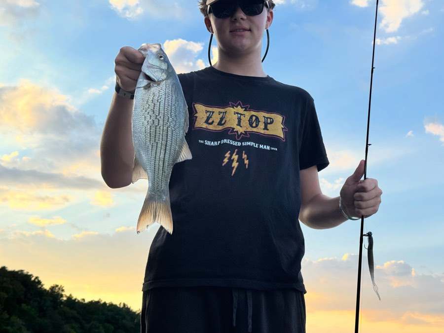 White bass at last light.